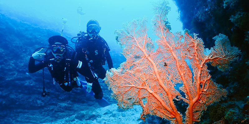墾丁蔚藍海域 - 心海潛水中心專業PADI教練教學體驗潛水,四年在地經驗為您打造最安全難忘的水上活動體驗