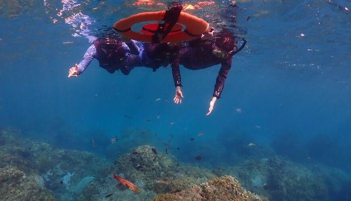 [學員在心海潛水教練帶領下於水中比出OK手勢的圖片]