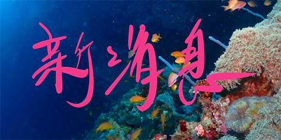 未命名-1 未命名-1
