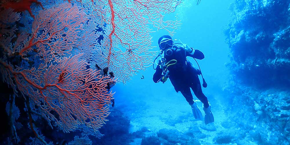 PADI高氧潛水攻略：安全延長海底時光，探索墾丁蔚藍 — 心海潛水專業解析1000x500